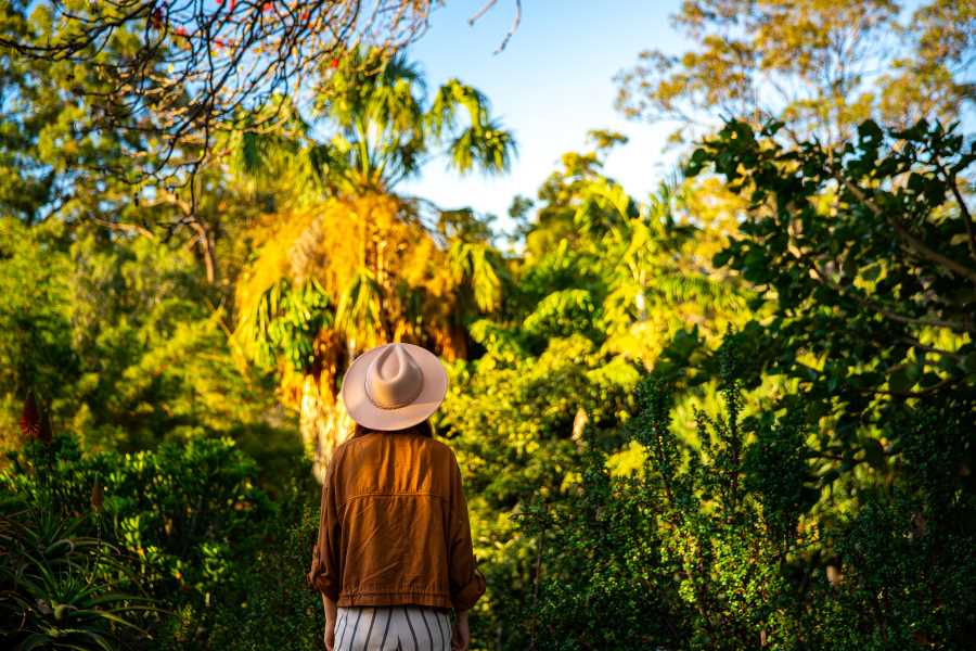 Free Things to do in Brisbane